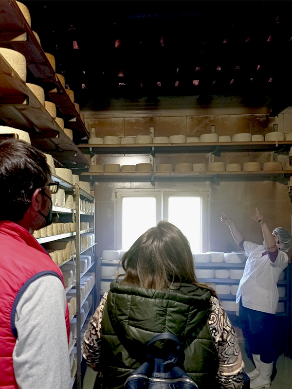 Visitas guiadas a una auténtica quesería asturiana